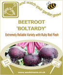 Seed Box - Children's Vegetable Collection - Seeds to Sow Limited