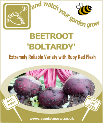 Beetroot Boltardy - Seeds to Sow Limited