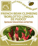 French Bean Borlotto - Tongue of Fire Seeds