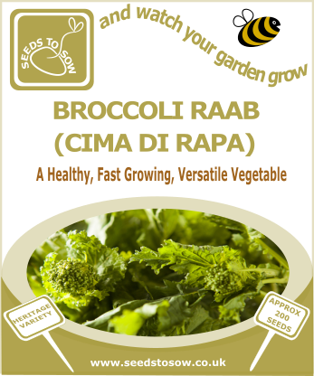 Broccoli Raab (Cima Di Rapa) - Seeds to Sow Limited