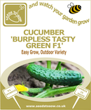 Cucumber Burpless Tasty Green F1 - Seeds to Sow Limited
