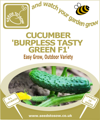Cucumber Burpless Tasty Green F1 - Seeds to Sow Limited
