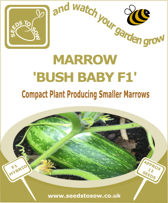 Marrow Bush Baby F1 - Seeds to Sow Limited