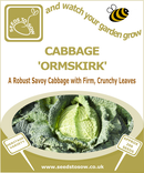 Cabbage Ormskirk - Seeds to Sow Limited