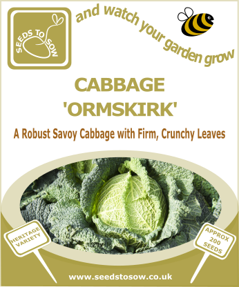 Cabbage Ormskirk - Seeds to Sow Limited