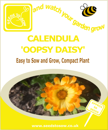 Calendula Oopsy Daisy - Seeds to Sow Limited
