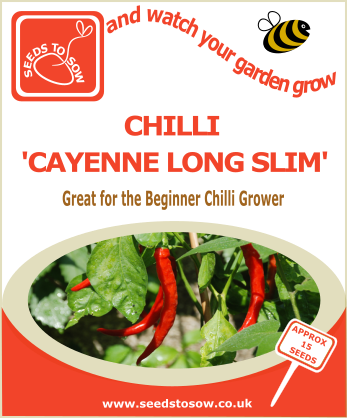 Chilli Cayenne Long Slim - Seeds to Sow Limited