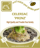 Celeriac Prinz - Seeds to Sow Limited