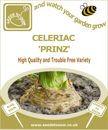 Celeriac Prinz - Seeds to Sow Limited