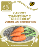 Carrot Chantenay 2 Red Cored - Seeds to Sow Limited