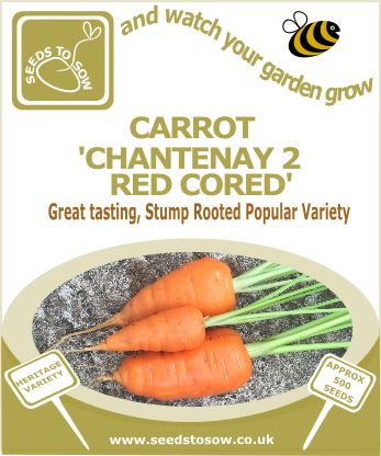 Carrot Chantenay 2 Red Cored - Seeds to Sow Limited