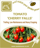 Tomato Cherry Falls - Seeds to Sow Limited