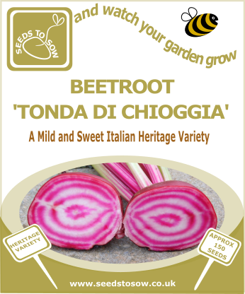 Beetroot "Tonda Di Chioggia" - Seeds to Sow Limited
