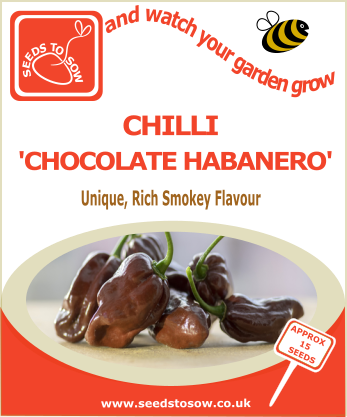 Chilli Chocolate Habanero - Seeds to Sow Limited