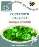 Coriander Calypso - Seeds to Sow Limited