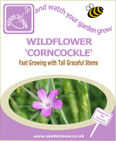 Wildflower - Corncockle - Seeds to Sow Limited