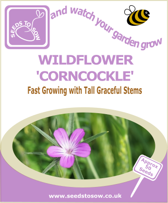 Wildflower - Corncockle - Seeds to Sow Limited