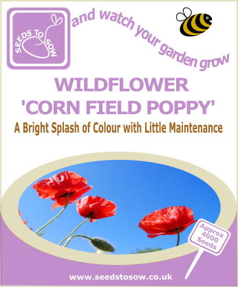 Wildflower - Corn Field Poppy - Seeds to Sow Limited