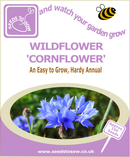 Seed Box - Wildflower Seed Collection - Seeds to Sow Limited