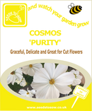 Cosmos - Purity - Seeds to Sow Limited