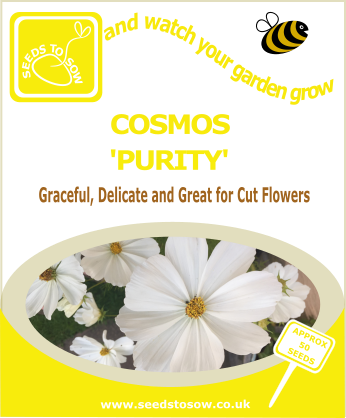 Cosmos - Purity - Seeds to Sow Limited