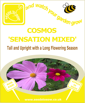 Cosmos Sensation Mixed - Seeds to Sow Cosmos Sensation Mixed - Seeds to Sow