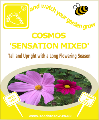 Cosmos - Sensation Mixed - Seeds to Sow Limited