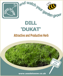 Dill Dukat - Seeds to Sow Limited