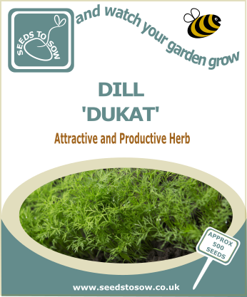Dill Dukat - Seeds to Sow Limited