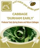 Cabbage Durham Early - Seeds to Sow Limited