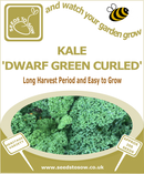 Kale Dwarf Green Curled - Seeds to Sow Limited