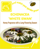 Echinacea 'White Swan' - Seeds to Sow Limited