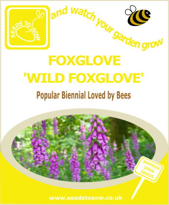 Foxglove - Wild Foxglove - Seeds to Sow Limited