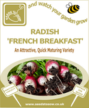 Radish French Breakfast - Seeds to Sow Limited