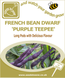 French Dwarf Bean Purple Teepee - Seeds to Sow Limited