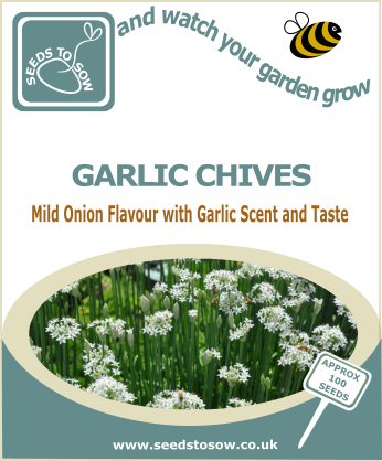 Garlic Chives - Seeds to Sow Limited