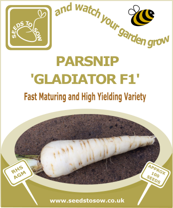 Parsnip Gladiator F1 - Seeds to Sow Limited