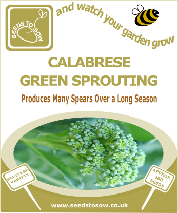 Calabrese Green Sprouting - Seeds to Sow Limited