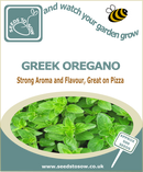 Oregano Greek - Seeds to Sow Limited