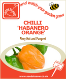 Chilli Habanero Orange - Seeds to Sow Limited