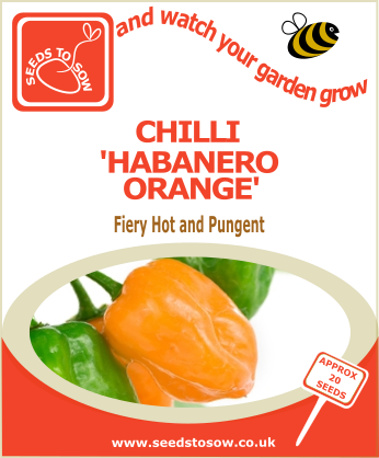Chilli Habanero Orange - Seeds to Sow Limited