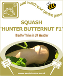 Squash Butternut Hunter F1 - Seeds to Sow Limited