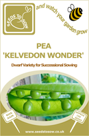 Seed Box - Allotment Seed Collection - Seeds to Sow Limited