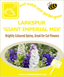 Larkspur - Giant Imperial Mix - Seeds to Sow Limited