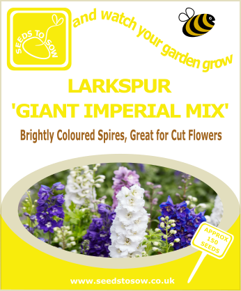 Larkspur - Giant Imperial Mix - Seeds to Sow Limited