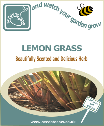 Lemongrass - Seeds to Sow Limited