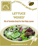 Lettuce Mixed - Seeds to Sow Limited