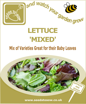 Lettuce Mixed - Seeds to Sow Limited