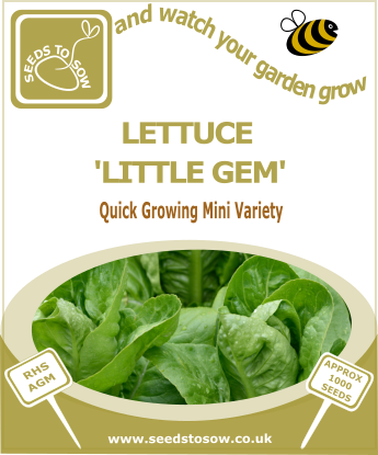 Lettuce Little Gem - Seeds to Sow Limited