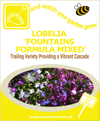 Lobelia - Fountains Formula Mixed - Seeds to Sow Limited